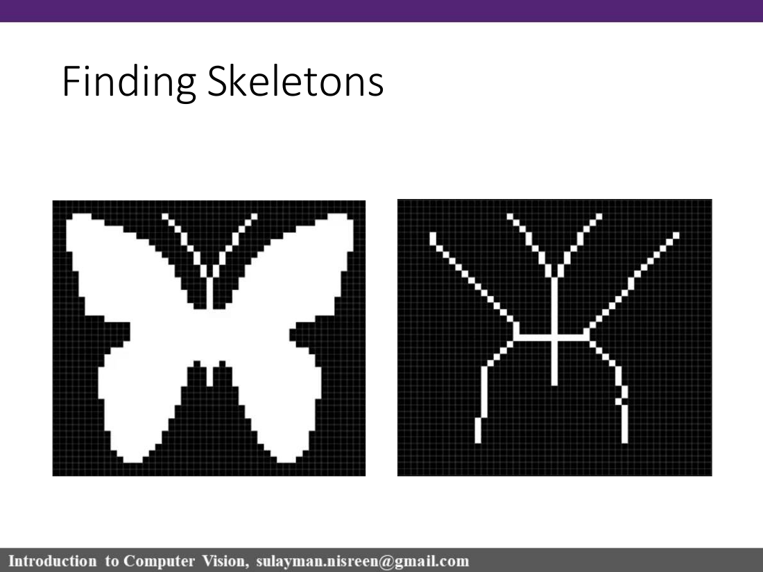 Skeleton finding slide